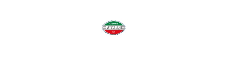 PAVESI