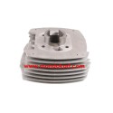 Cylinder & Head LKE