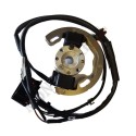 Accensione TM 60cc mini