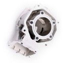 Cylinder Rotax MAX