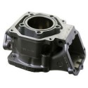 Cilindro Rotax DD2
