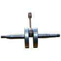 Albero e Basamento C50