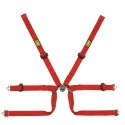 Car Seat Belts