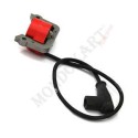 WTP ignition 60