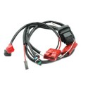 Impianto Elettrico RokGP